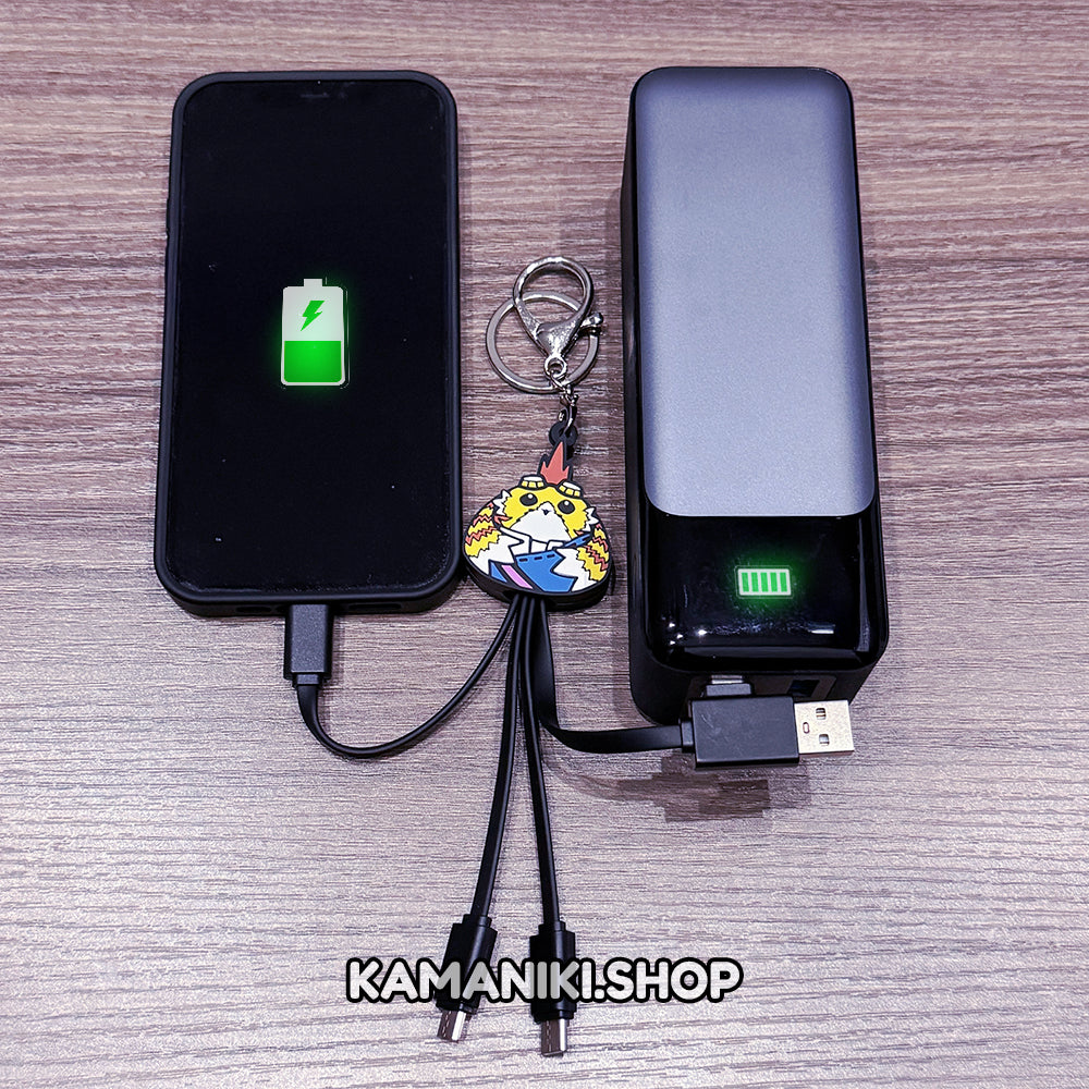 USB Charging Cable|| Tora